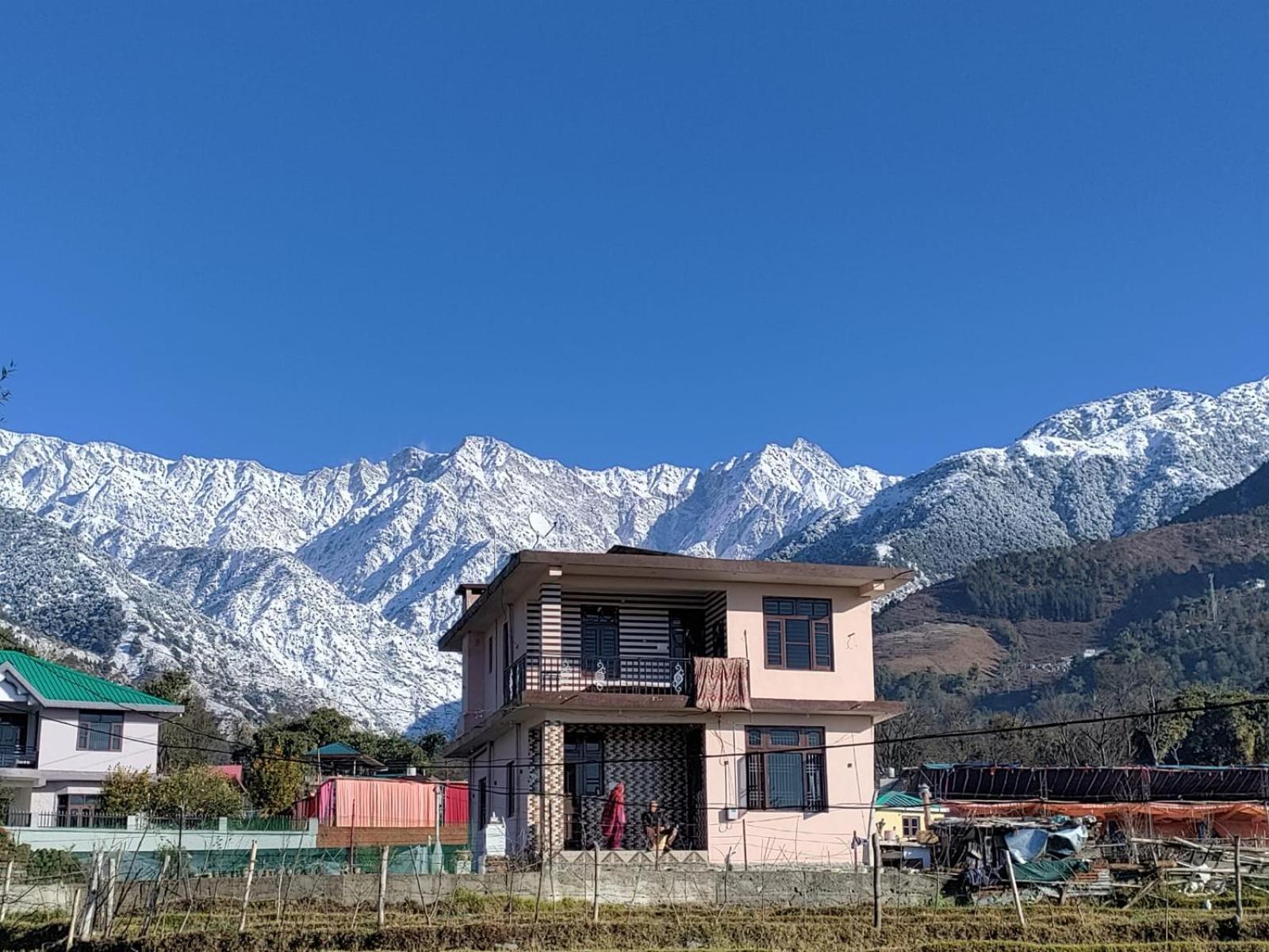 Homestay Palampur View Zewnętrze zdjęcie