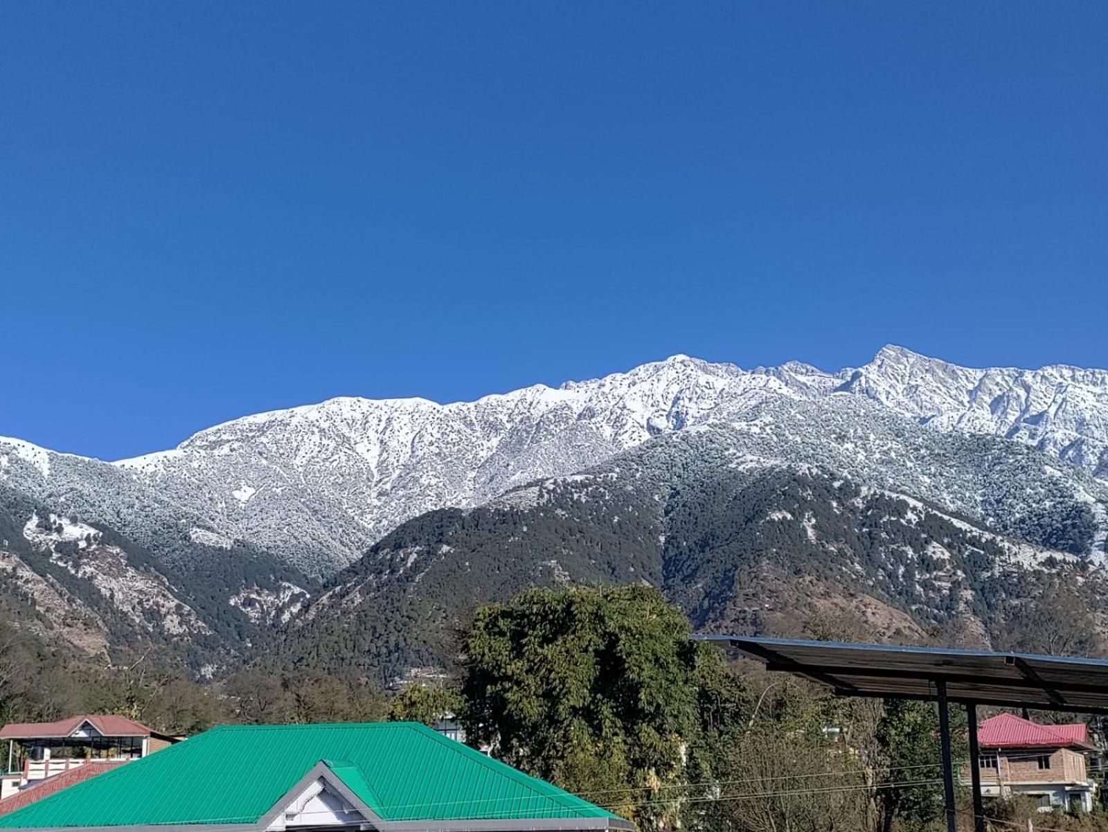 Homestay Palampur View Zewnętrze zdjęcie